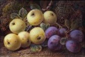 Apples And Plums Against A Mossy Bank by Vincent Clare