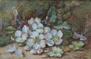 Primroses And Blossom by Vincent Clare