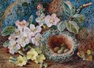 Wild Flowers By A Bird's Nest; Primroses Andother Wild Flowers On A Mossy Bank, A Pair by Vincent Clare