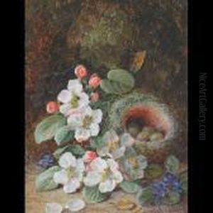 Still Life - Flowers And Bird""""s Nest On An Embankment Still Life - Flowers And Bird""""s Nest On An Embankment