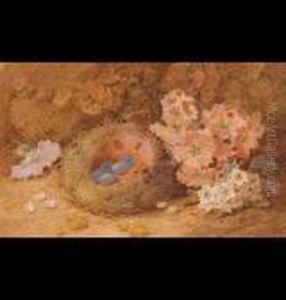 Birds Eggs In A Nest Beside Wildflowers by Vincent Clare