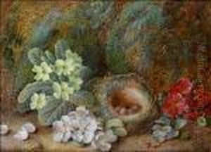 Still Life With Blossom; Primroses by Vincent Clare