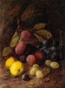 Still Life, Ripe Plums, Grapes And Apples On A Mossy Bank by Vincent Clare