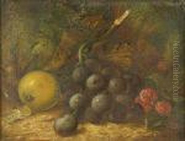 Apple, Blackgrapes And Raspberries On A Woodland Bank - view 1
