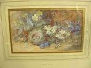 Stilllife With Birds Nests And Eggs Among Primroses And Blossom