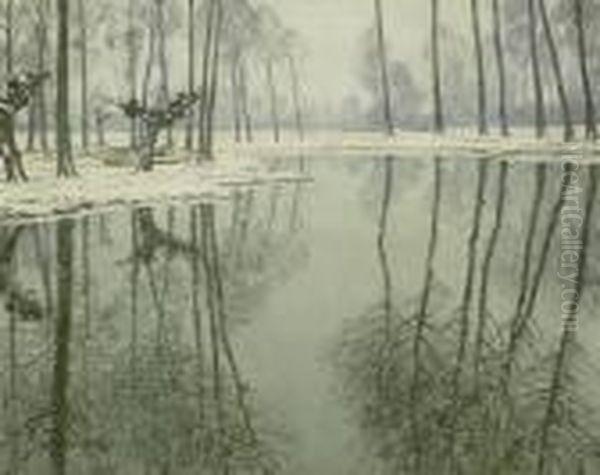 Winter On The Erft - view 1