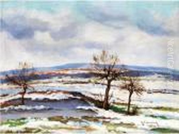 Winterlandschaft Mit Kruppelweiden Aneinem Weiher - view 1
