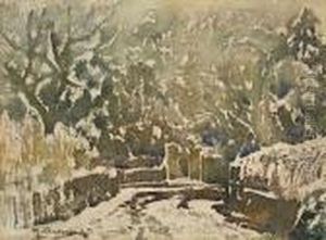 Parklandschaft Imwinter