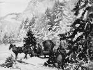 Winterlandschaft Mitpferdeschlitten