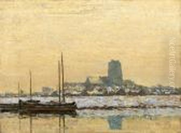 Sonnige Winterlandschaftbei Dordrecht - view 1