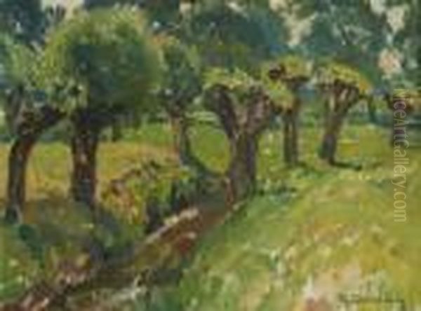 Baumbestandene Bachlandschaft - view 1