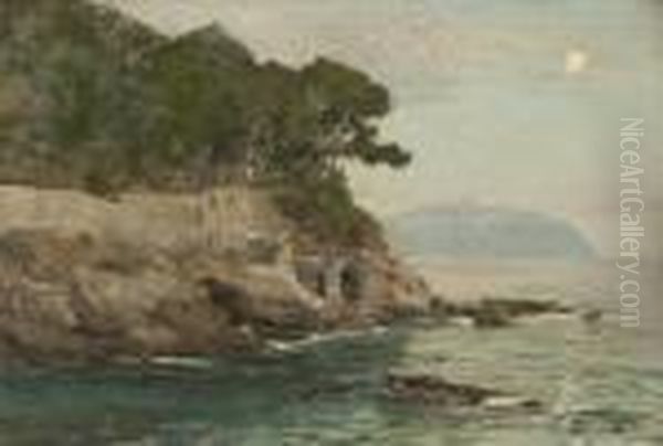Bucht Bei Mondschein - view 1