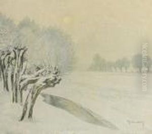 Wintersonne Und Raureif - Winterlandschaft Bei Wittlaer by Maximilian Clarenbach