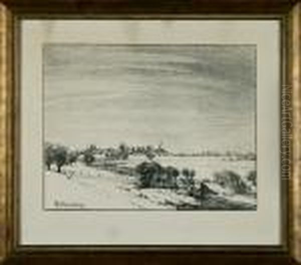 Landschaft Mit Kopfweiden Am Niederrhein - view 1