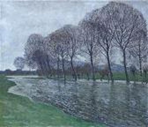 Riverlandscape At The Lower Rhine - view 1