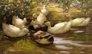 Enten in Wasser Unter Birken by Alexander Max Koester