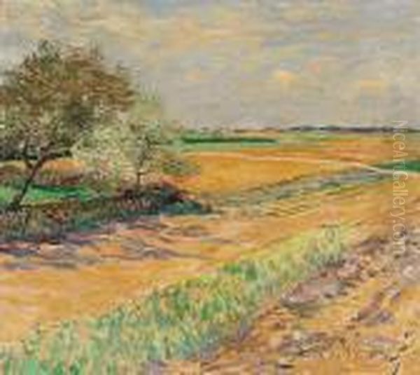 Fruhlingslandschaft Bei Wittlaer Am Niederrhein - view 1