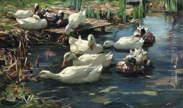 Ducks in a Quiet Pool - view 1