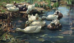 Ducks in a Quiet Pool by Alexander Max Koester