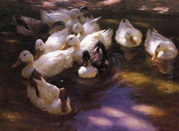 Eleven Ducks in the Morning Sun - view 1