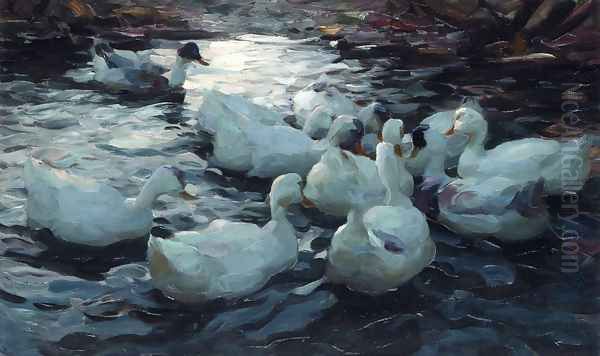 Ducks Feeding - view 1