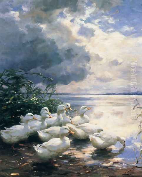 Ducks in the Morning - view 1