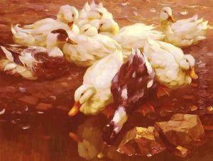 Enten Am Teich (Ducks in the pond) by Alexander Max Koester