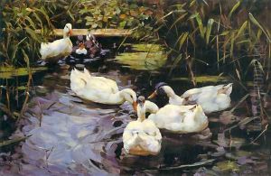 Enten auf einem Schilfteich by Alexander Max Koester