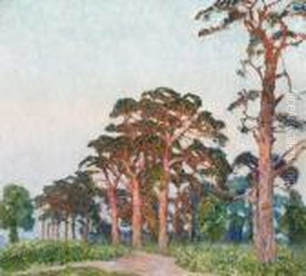 Paysage Aux Pins - view 1