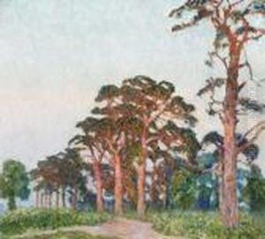 Paysage Aux Pins by Emile Claus
