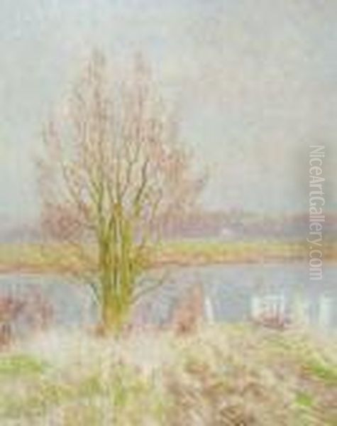 Bords De La Lys - view 1