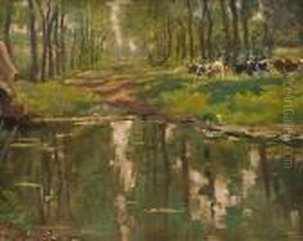 Cattle In Sunlitwoodland - view 1