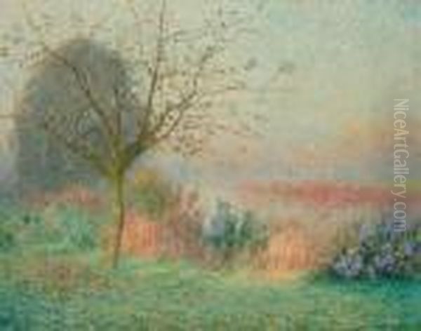 Matin D'octobre Sur La Riviere Leie - view 1