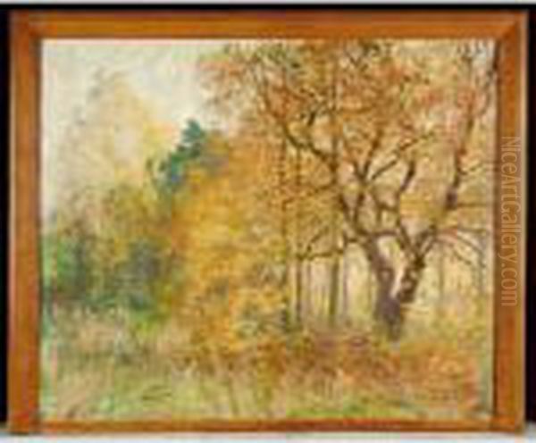 Coin De Parc - view 1