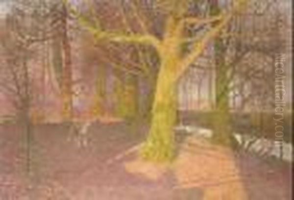Soleil D'hiver - view 1