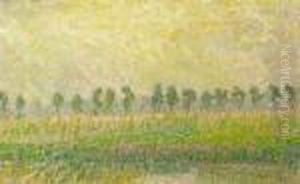 Sunlit Landscape