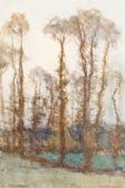 November - view 1