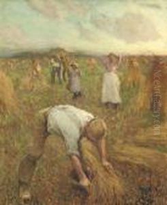 Harvest - Evening