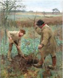 Planting A Tree