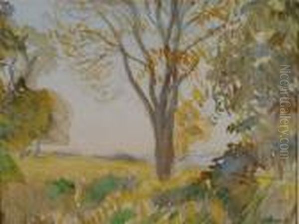 Afternoon Sunlight - view 1