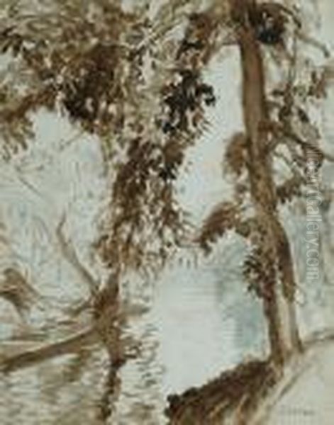 A Quiet Stream - view 1