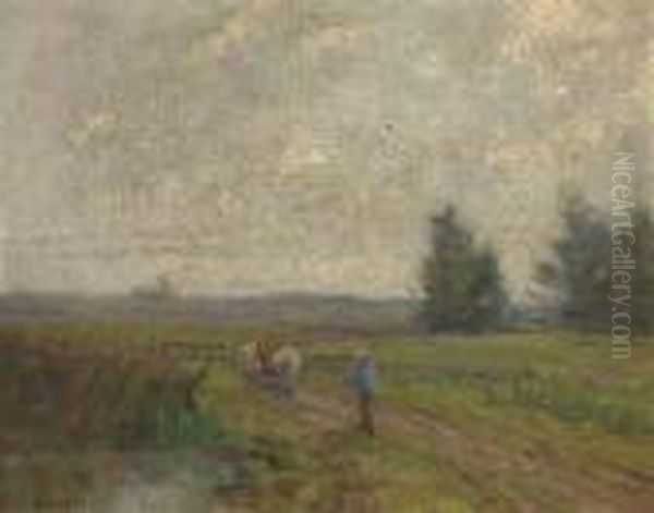 Ploughing The Field - view 1