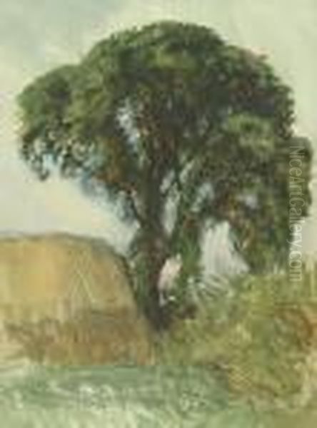Hayricks And Trees - view 1