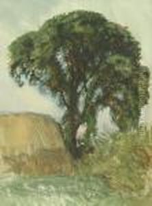 Hayricks And Trees Hayricks And Trees