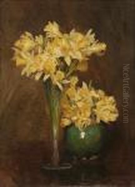 Daffodils - view 1