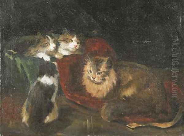 Kittens - view 1