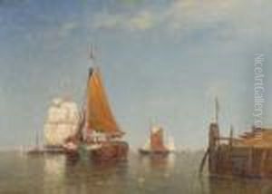A Calm Morning On Thescheldt Bears