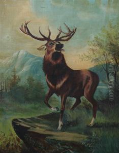 Stag In The Highlands
