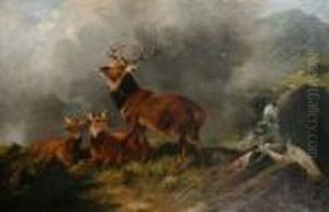 A Stag And Two Doe In A Highlandlandscape