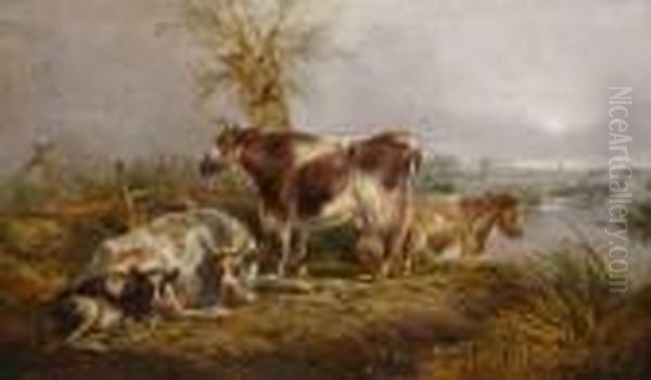 Cows - view 1